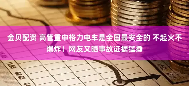 金贝配资 高管重申格力电车是全国最安全的 不起火不爆炸！网友又晒事故证据猛捶